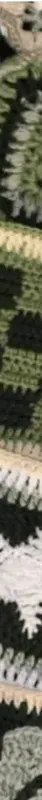 Image posted by the member