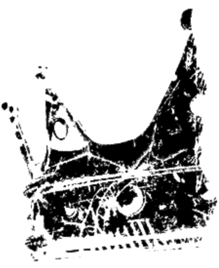 Image posted by the member