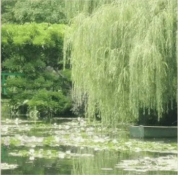 Image posted by the member