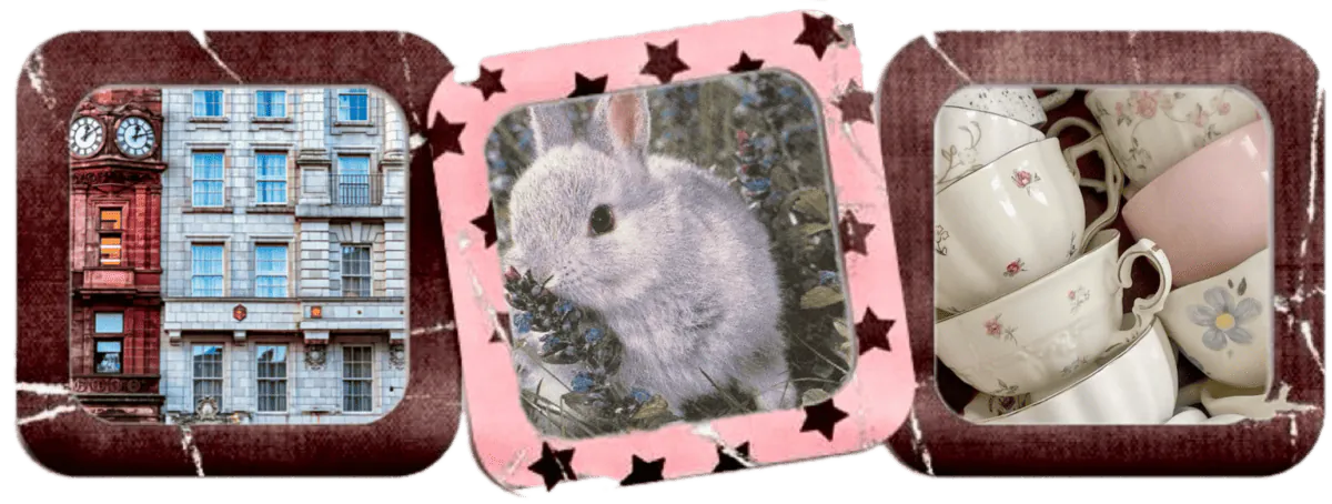 Image posted by the member