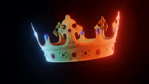 Image posted by the member