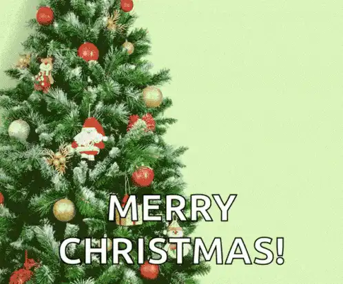 Image posted by the member