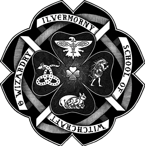 Image posted by the member