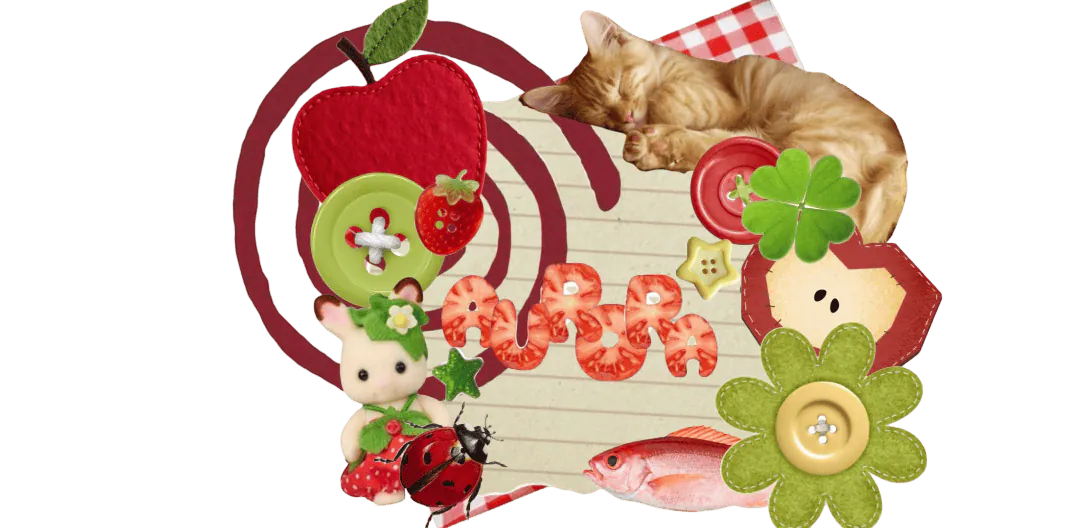 Image posted by the member