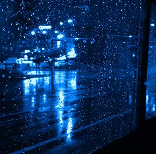Image posted by the member