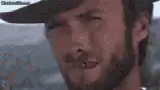 Image posted by the member