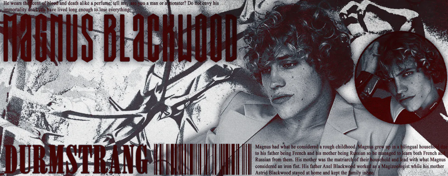 magnusbanner