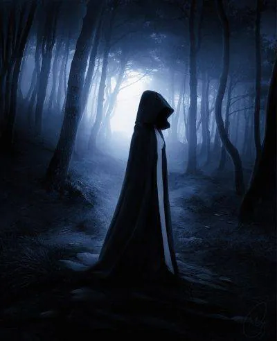 Image posted by the member