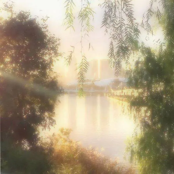 Image posted by the member