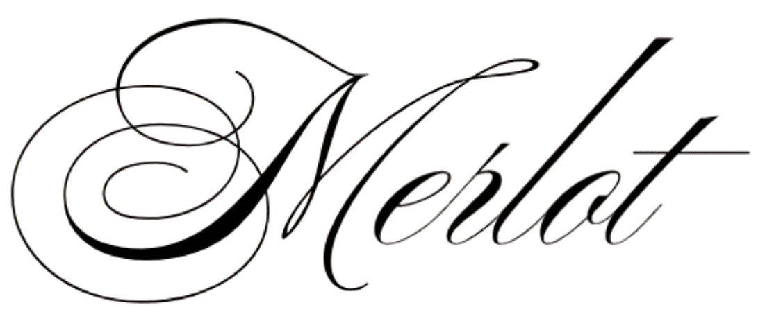 Image posted by the member