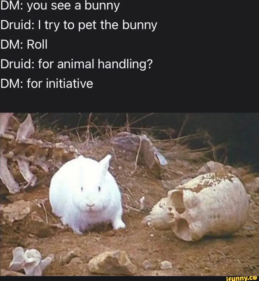 Image posted by the member