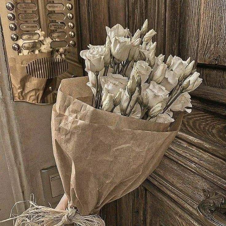 Image posted by the member