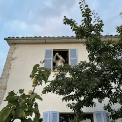 Image posted by the member