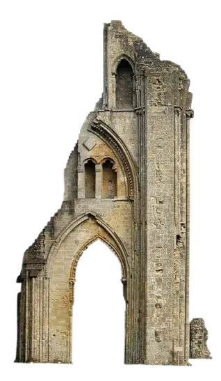 Image posted by the member