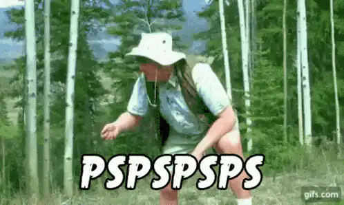 Image posted by the member