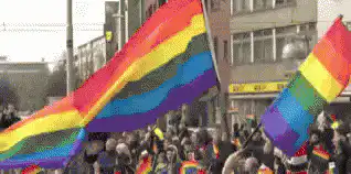 Image posted by the member