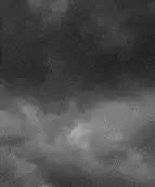 Image posted by the member