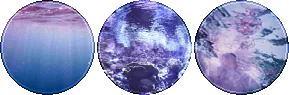 Image posted by the member