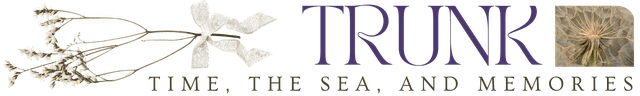 Image posted by the member