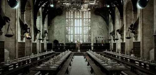 Image posted by the member