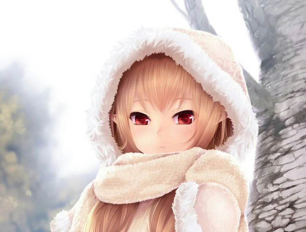 Image posted by the member