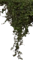 Image posted by the member