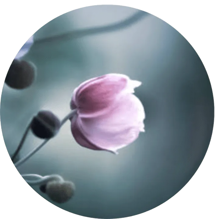 Image posted by the member