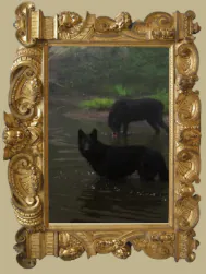 Image posted by the member