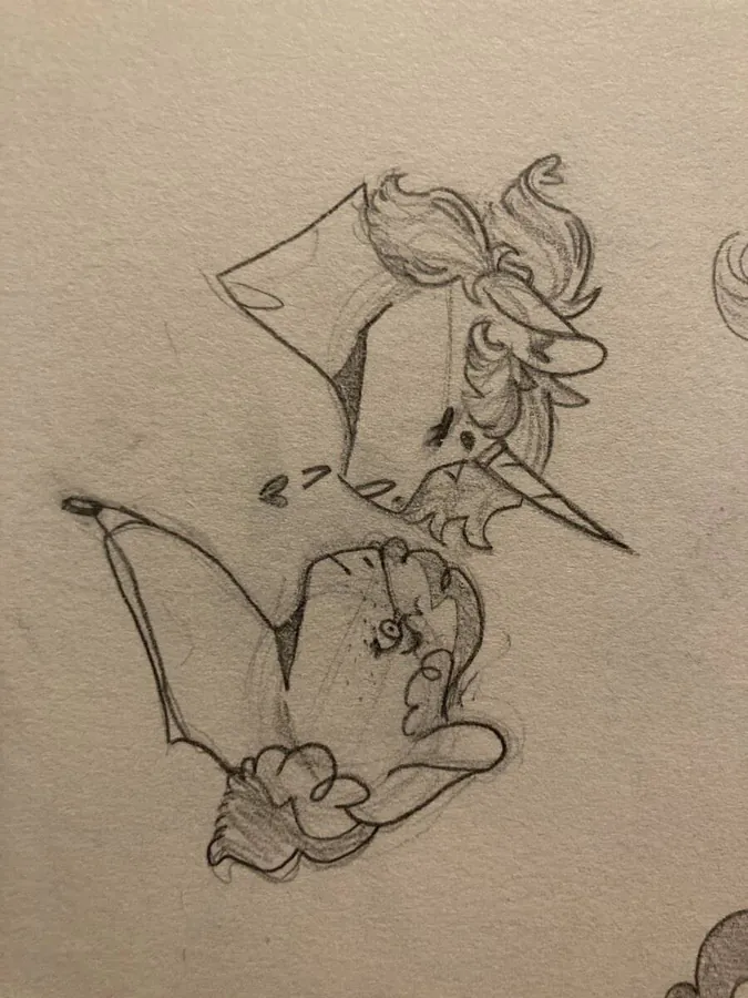 Image posted by the member