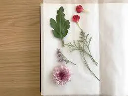 Image posted by the member