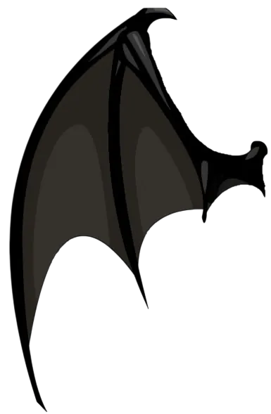 Image posted by the member