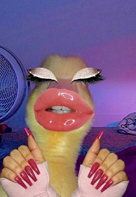 Image posted by the member