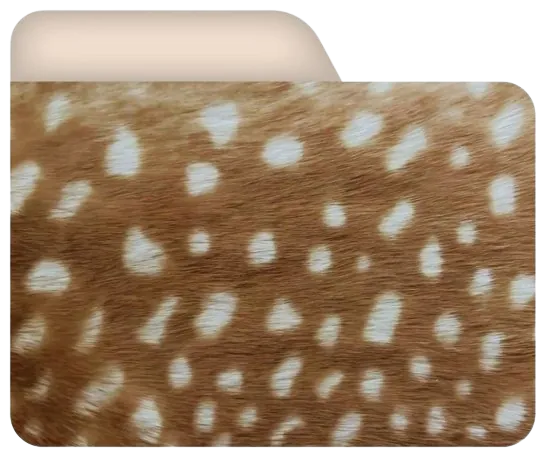 Image posted by the member