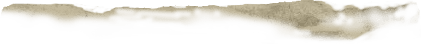 Image posted by the member