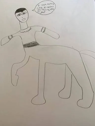 Image posted by the member