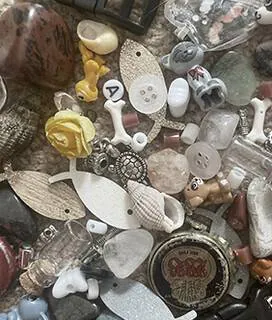 Image posted by the member