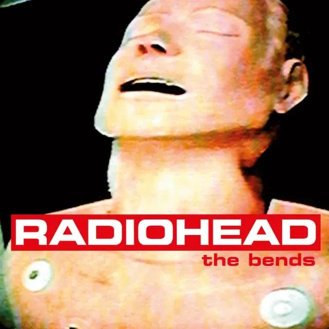 Image posted by the member