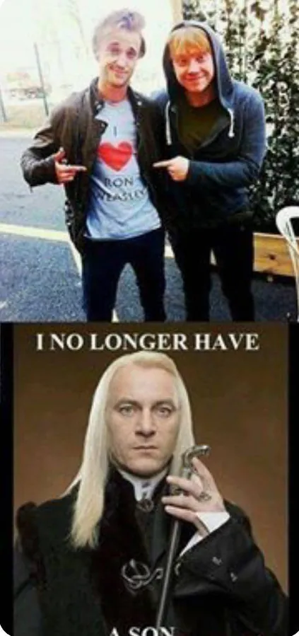 Image posted by the member