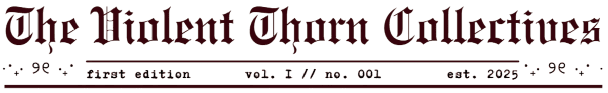 Image posted by the member