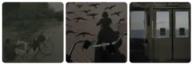 Image posted by the member