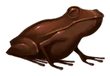 Image posted by the member