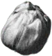 Image posted by the member