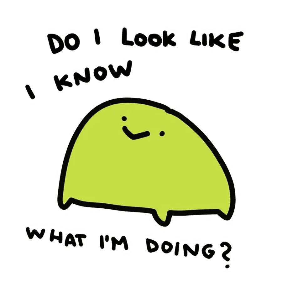 Image posted by the member