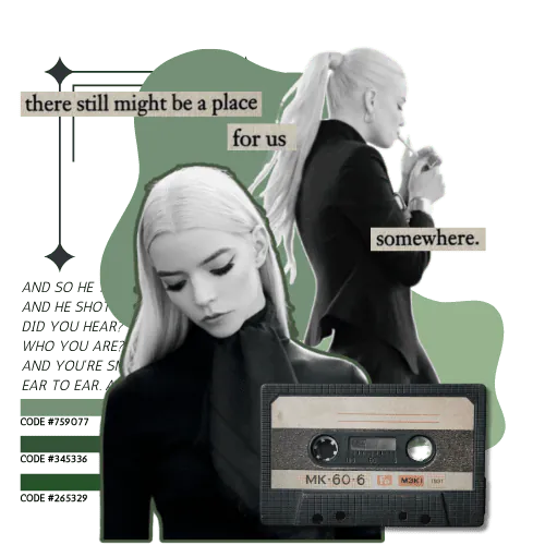 Image posted by the member