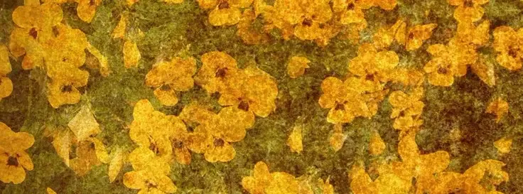 Image posted by the member