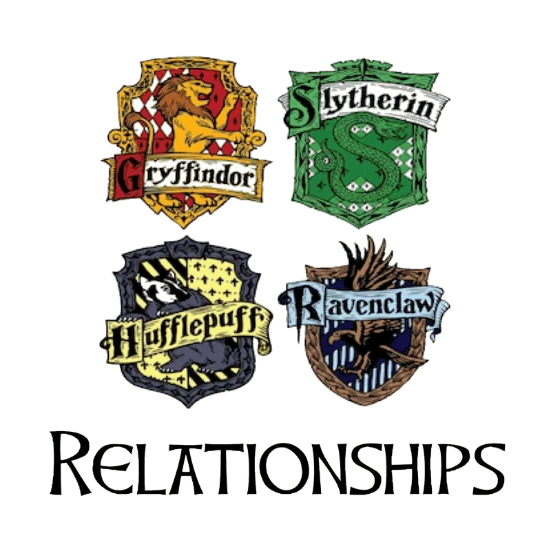 Image posted by the member
