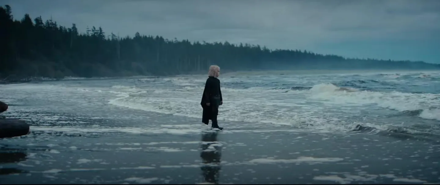 boy looks out at Nordic sea