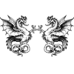 Image posted by the member