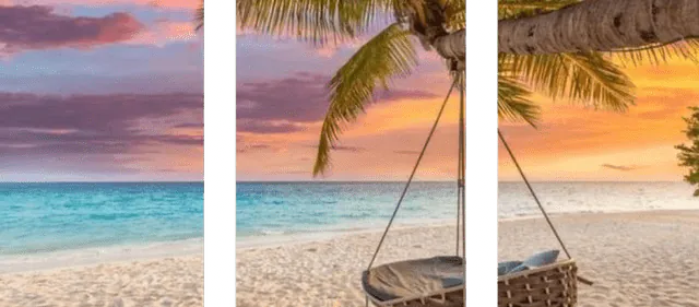 Image posted by the member