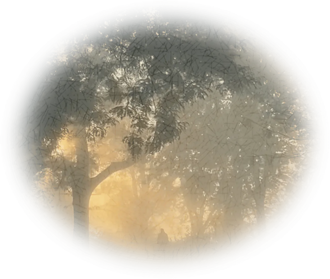 Image posted by the member